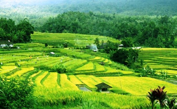 Perhiasan untuk Ujian