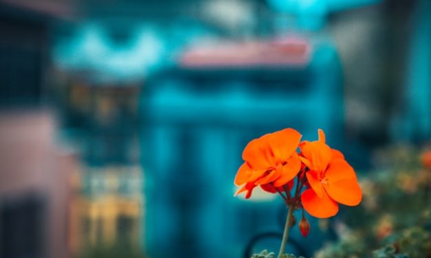 Umur yang Panjang Rizki yang Lapang