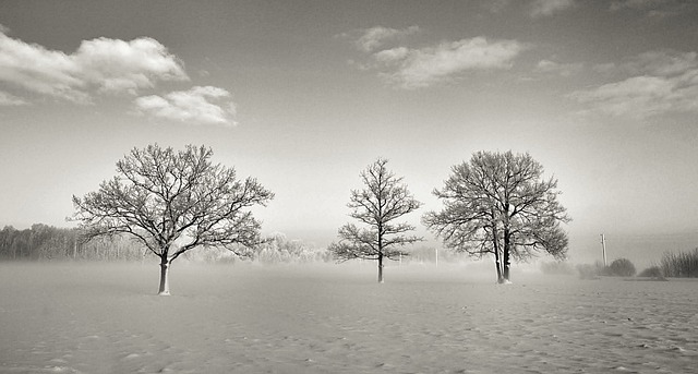 12 Rabi’ul Awwal, Nabi Meninggal