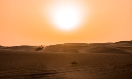 Pecinta Sejati Nabi, Bagaimana Membela Nabi صَلَّى اللهُ عَلَيْهِ وَسَلَّمَ ?