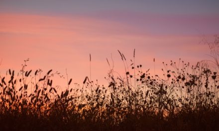 Maha Mendahulukan, Maha Mengakhirkan