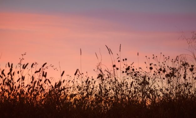 Sumber Kehidupan Hatimu