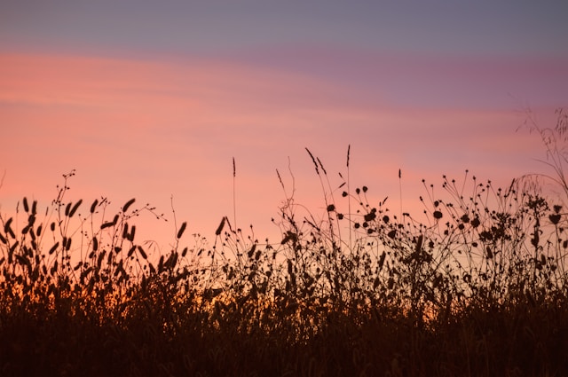 Maha Mendahulukan, Maha Mengakhirkan