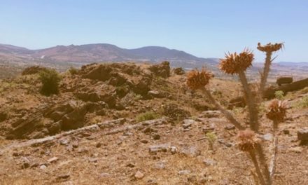 Bagaimana Musa ‘Alaihis Sallam Lalai