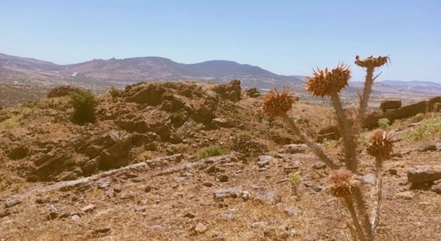 Bagaimana Musa ‘Alaihis Sallam Lalai