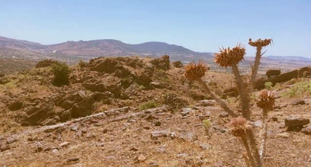 Bagaimana Musa ‘Alaihis Sallam Lalai