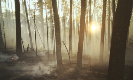 Musibah Ladang Pahala
