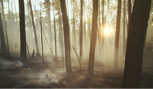 Musibah Ladang Pahala