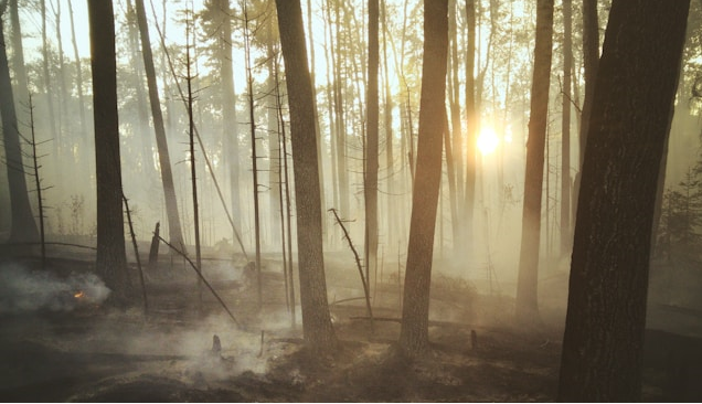 Musibah Ladang Pahala