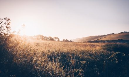 Matikan Aku Jika Kematian Lebih Baik Untukku