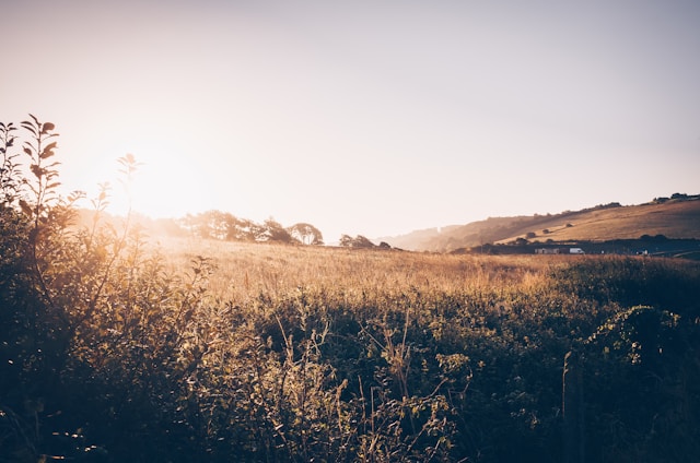 Matikan Aku Jika Kematian Lebih Baik Untukku