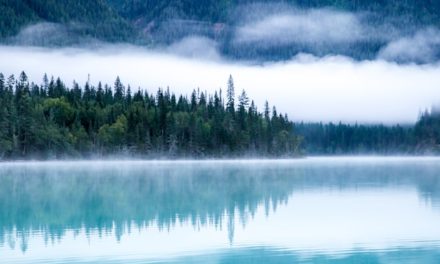 Carilah Kenikmatan Yang Tak Ada Kematian