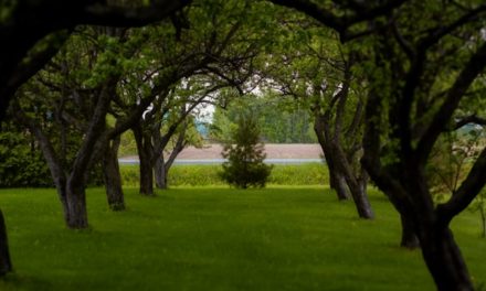 Apakah Kita Termasuk WaliNya ?