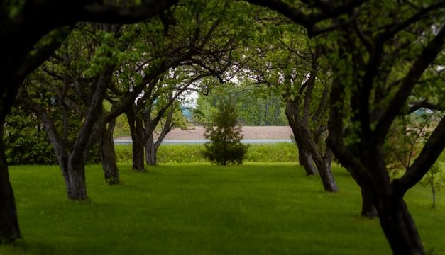 Apakah Kita Termasuk WaliNya ?