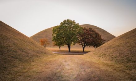 Andai Orang Sehat Tahu
