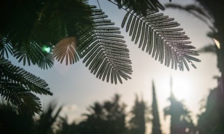 Janganlah Engkau Bersama Orang-orang Kafir!