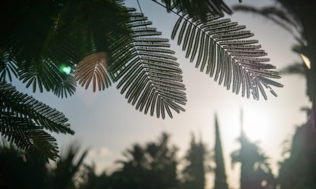 Janganlah Engkau Bersama Orang-orang Kafir!