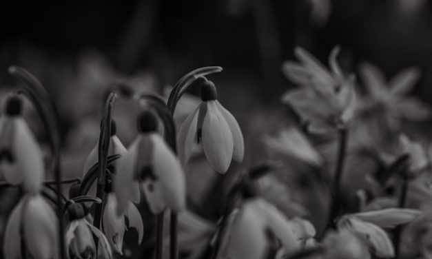 Alangkah Buruknya Tindakan Mereka