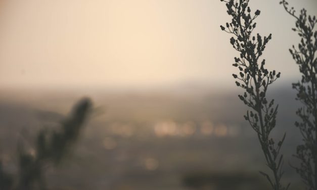 Tunaikan Amalmu untuk Allah ﷻ