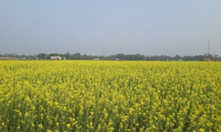 Maha Indah (اَلْجَمِيْلُ)