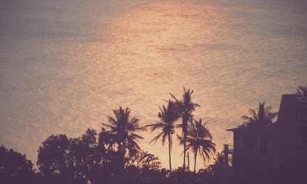 Jangan Lewatkan Kesempatan Ini!