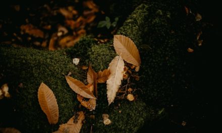 Agar Kuburan Kita Terang