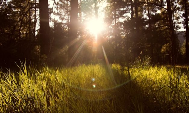 Iman Menguat, Rahmat Menguat