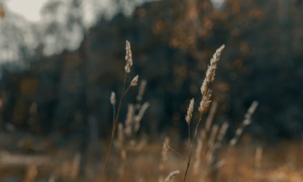 Jadilah Hamba yang Paling Dicintai-Nya!