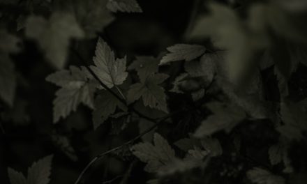 Jika Dosa Diiringi Istighfar