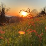 Terhimpunnya Rasa Takut dan Rasa Harap