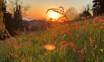 Hiasan Cobaan, Ujian Kenikmatan