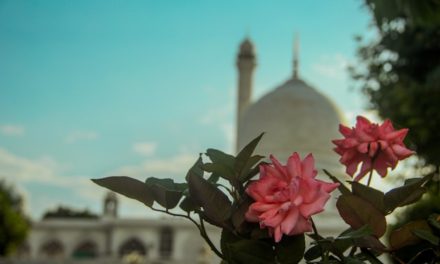 Siapa yang Menginginkan Ampunan ?