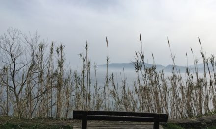 Panjang Angan Perusak Amal