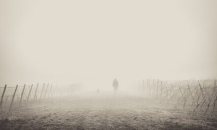 Manusia Ada Empat Macam, Anda Termasuk yang Mana ?