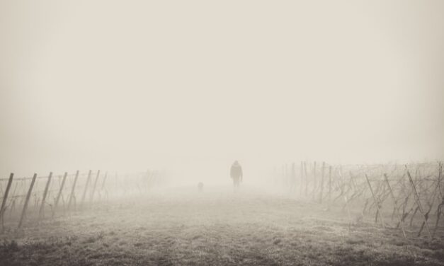 Manusia Ada Empat Macam, Anda Termasuk yang Mana ?